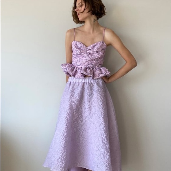 Zara Limited Edition Organza Skirt Color Lilac Size Large NWT